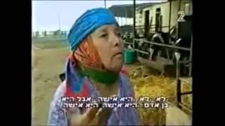 "אישה היא כמו נעל ... "  תימן ,תמניה ,יום הולדת תימני