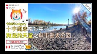 【Vlog 加拿大 】北美最大的Crossiron Mills十字鐵摩Outlet爆買️卡加利必去景點大揭密！在地農夫市集Ｉ城市愛犬狗公園ft.萬豪居家酒店開箱EP.8