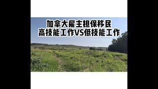 聊聊加拿大雇主担保的工作：高技能VS低技能