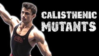 How Do Calisthenic Athletes Get So F***ing Strong?