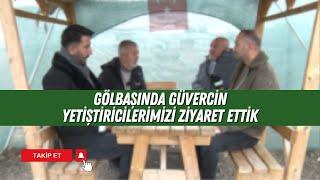 GÖLBAŞINDA GÜVERCİN YETİŞTİRİCİLERİMİZİ ZİYARET ETTİK | GÜVERCİN SEVDAMIZ