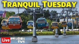 Live: Tranquil Tuesday Skyliner Resort Hopping - 9-10-24 - Walt Disney World Live Stream