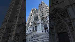 Brussels Cathedral ️ #alexandrupascaloaie #vlogdecalatorie