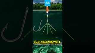 RANGKAIAN KAIL IKAN TAWES