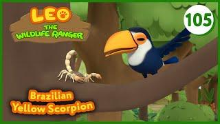 Brazilian Yellow Scorpion - Leo The Wildlife Ranger (Episode 105)