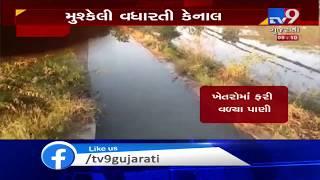 Banaskantha: Overflowing canal leaves farms waterlogged in Vav | TV9News