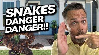 Are the snakes THAT bad in St Johns County?