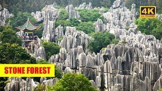 The Stone Forest China – Travel and Historical Documentary | Amazement