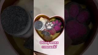 Обзор моих сквишей. #сквиш #табалапка #тапалапка #сквишлапка #лапка #лапкасквиш #антистресс