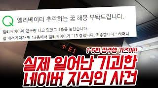 실제 일어난 기괴한 지식인 사건 1-4편 정주행