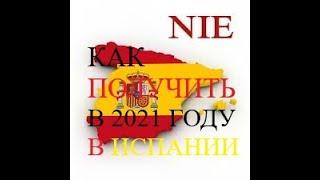 Как получить номер  иностранца в Испании ( NIE ) самостоятельно (Идентификационный номер иностранца)