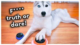 Truth or Dare Goes WRONG! Dog Plays Truth or Dare Using Talking Buttons (BLOOPERS)