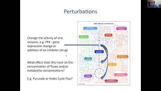 2023 Kinetic Modeling Virtual Course - Part 5: Metabolic Control Analysis - Herbert Sauro