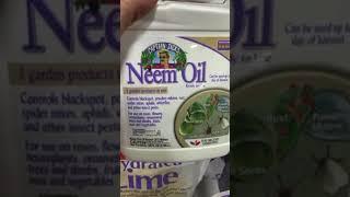 Here's Why! - Don't Buy the 'Fake' Neem Oil or Processed Neem Oil #neemoil  #gardening #garden