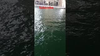 Dubai️#beautiful place#travel to dubai️