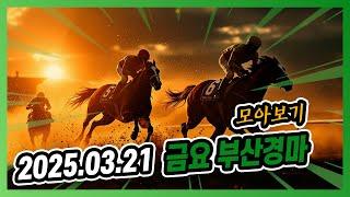 2025년 3월 21일 금요 부산경마 전체경주 모아보기