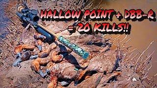 TACTICAL FIRST BLOOD KILLS 20 WILD DUCKS!! | WILD DUCK HUNTING | X4 RAF HUNTER EP86 | #hunting