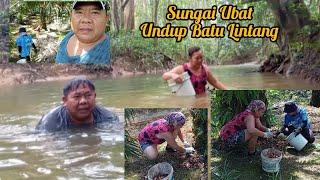 TAHAN JARING, CEK JARING DAN KUTIP BIJI SAWIT, CAMPING 2 HARI 1 MLM DI LANGKAU/PONDOK KEBUN SAWIT