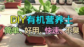 【家庭种菜】DIY 最简单有机肥之一（固体堆肥篇）|How to make organic fertilizer from kitchen waste?