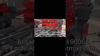 BRC Mesh/Construction Mesh/Gabion Cage Mesh/Automatic Welded Wire Mesh Welding Machine.