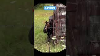 Airsoft cheater #airsoft #airsoftvideos #paintball #airsoftvideo #airsoftcheater