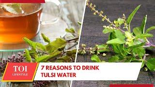 Tulsi Water: The Morning Elixir That Can Transform Your Life