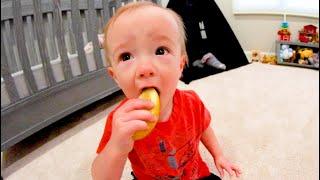 Baby Eats His First Lemon!