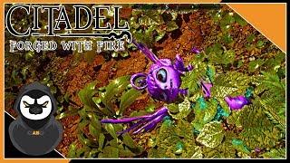 Citadel: Forged With Fire - First Impression