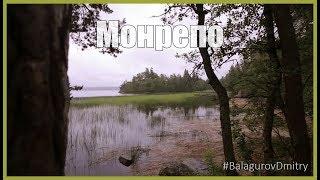 Парк Монрепо l #BalagurovDmitry