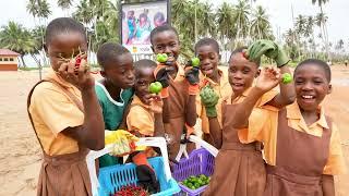 School Garden