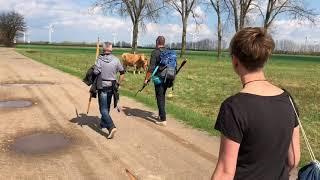 Bogen-Abenteuer beim 3D-Turnier 11. Heide - Waldpokal des BSV Merkwitz - Faszination traditionelles