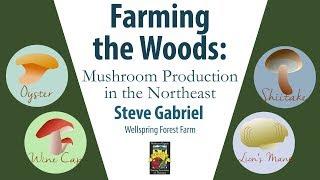 Farming the Woods: Mushroom Production in the Northeast | Steve Gabriel