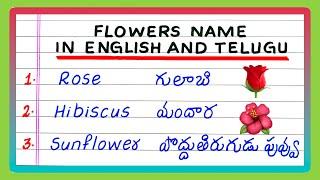 FLOWERS NAME IN ENGLISH AND TELUGU | FLOWERS NAME IN TELUGU