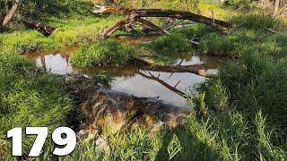 Beaver Dam Removal With Excavator No.179