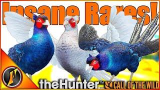 INSANE RARES on the Pheasant Grind! | theHunter Call of the Wild