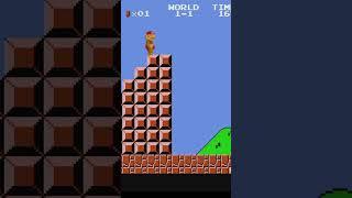 Beyond the Flagpole in Super Mario Bros! 