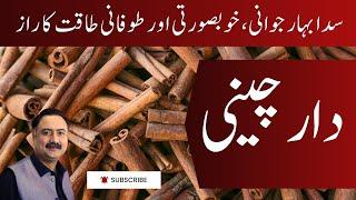 Dar Cheeni Cinnamon Ke Fawaid دار چینی کے فوائد