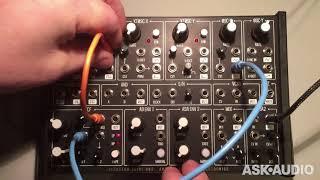 Plankton Electronics ANTS! Semi-Modular Analog Synth Review