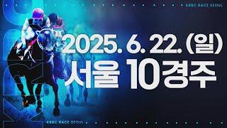 (서울) 2025.06.22 10경주