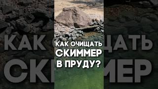 Как очищать скиммер в пруду?