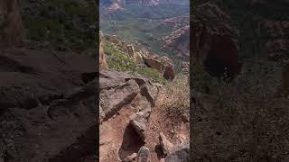 FOR THE VIEW!!! #coconinonationalforest #sedona #wilsontrail #nature #hikingaddict #mountains