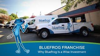 Bluefrog Franchise: Why Bluefrog Is a Wise Investment