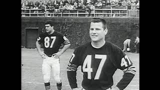 1963 Chicago Bears NFL Highlights