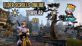 ESO PvP: Is this game ending soon? Is everyone leaving?