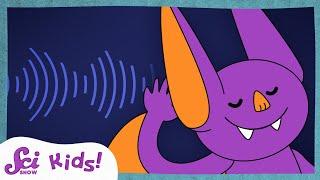 How Ears Let Us Hear the World! | SciShow Kids