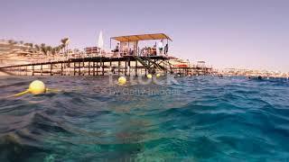 Egypt's Top 5 Sea Sides: A Journey Of Wonders