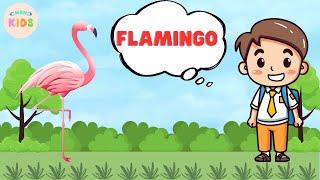 Flamingo Facts For Kids  Learn All About Flamingos | MON Kids