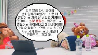 [보넥도/운학] (운)아기생일 231128 위버스라이브 25분 요약본