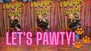 Pawty Time! I Threw a Birthday Party For MY CATS