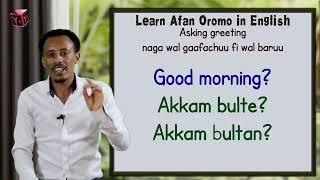 Daily English Afan Oromo #afaanoromo #Asking Greeting #learning